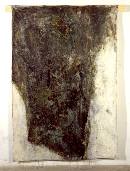 Lichens and mosses