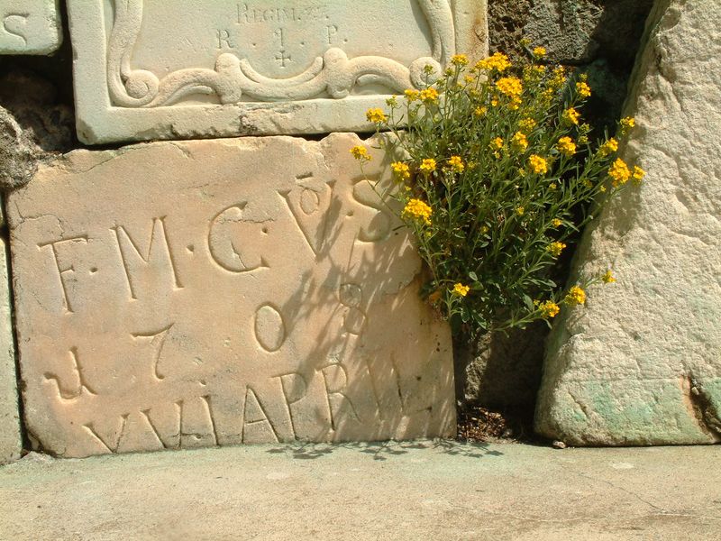 File:07 Karolinger.jpg